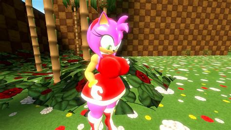 amy the hedgehog porn|3D Sonic Team .